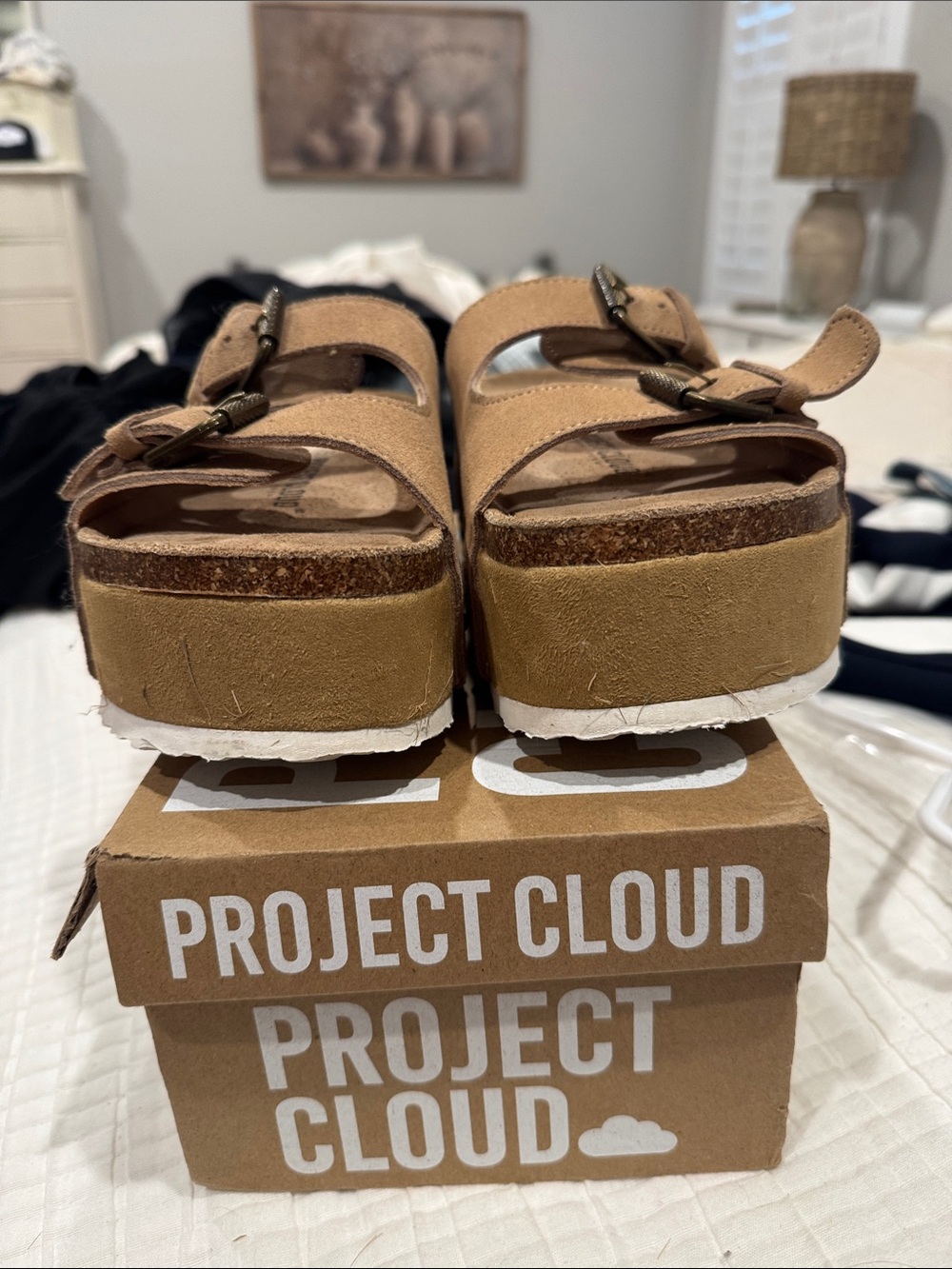 Project cloud velora - Picture 3 of 6